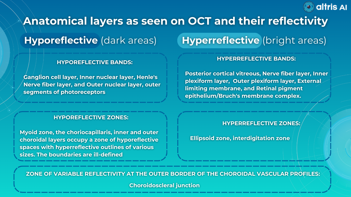 oct scan interpretation: hyperreflectivity and hyporeflectivity